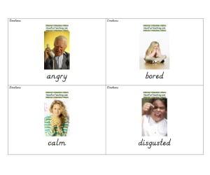 Emotions Flash Cards