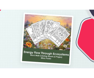 Energy Flow Through Ecosystems Word Wall Coloring Sheets (6 pgs.)
