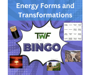 Energy Forms and Transformations Science BINGO Activity