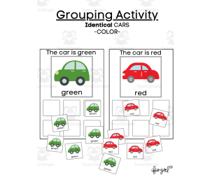 Errorless Activity - Sort IDENTICAL cars by color