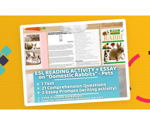 ESL Reading Comprehension + Writing Activity - Domestic Rabbit