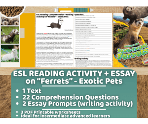 ESL Reading Comprehension + Writing Activity - Ferrets - Exotic Pets
