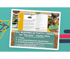 ESL Reading Comprehension + Writing Activity - Ferrets - Exotic Pets