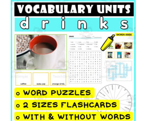 ESL Vocabulary Flashcards Puzzles Games 17