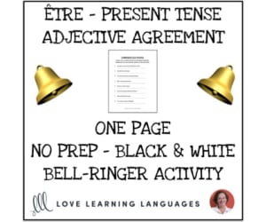 Être and Descriptive French Adjectives - Correct the mistakes -Distance Learning