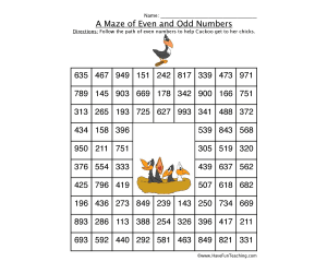 Even Number Maze Worksheet - Birds