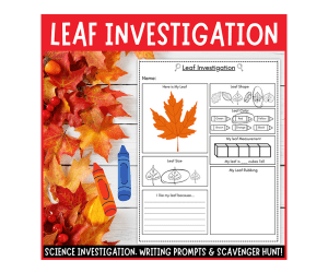Fall Leaf Investigation Science Center Observation Sheet for Preschool
