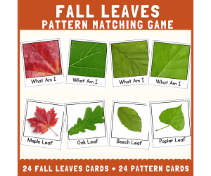 Fall tree leaves shape pattern matching cut & match science activity