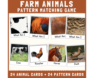 Farm animal skin fur pattern matching cut match science activities