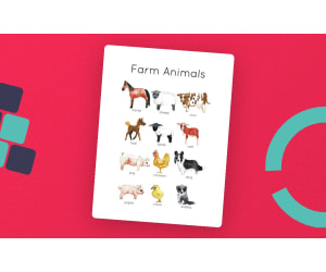Farm Animals Flash Cards