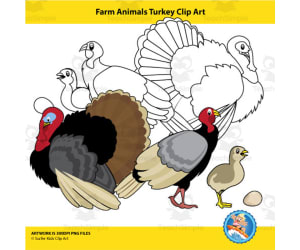 Farm Animals Turkey Clipart