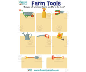 Farm Tools Activity