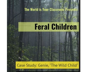 Feral Children: A Study of Dani and Genie