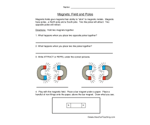 Fields and Poles Magnets Worksheet