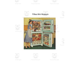 Fifties Mini Museum