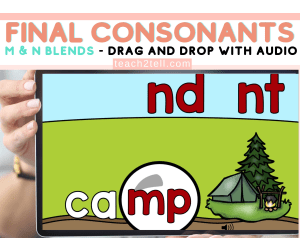 Final Consonants M & N Ending Blends Science of Reading Aligned (SoR)