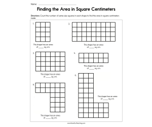 Finding the Area in Square Centimeters Worksheet