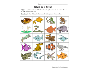 Fish Classification Worksheet