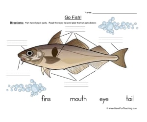 Fish Parts Worksheet