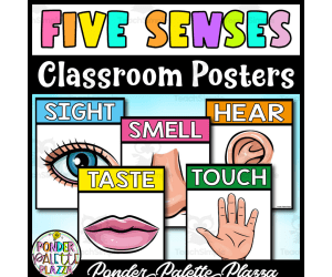 Five Senses - Classroom Posters