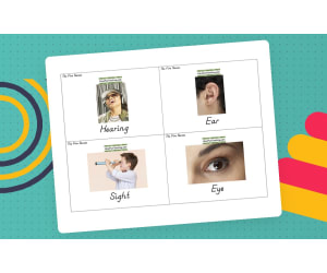 Five Senses Flash Cards