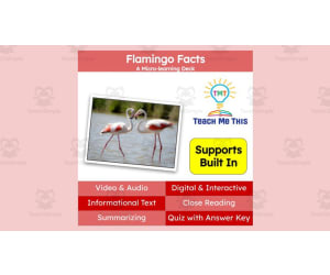 Flamingo | Interactive Science Lesson | Micro-Learning Deck