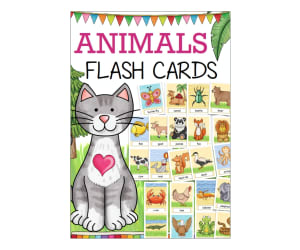 Flash Cards: Animals