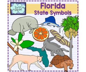 Florida State Symbols Clip Art