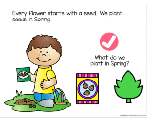 Flower Life Cycle Adapted Book Slide Deck