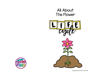 Flower Life Cycle Printable Activity Book
