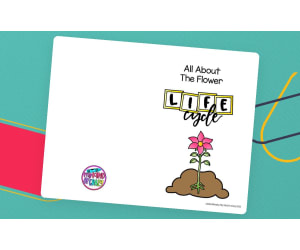Flower Life Cycle Printable Activity Book
