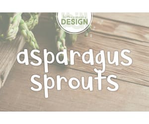 Font Family: Asparagus Sprouts