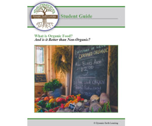 Food and Nutrition Lesson Plan & Worksheets: Organic vs Non-Organic Foods (Digital and Print)