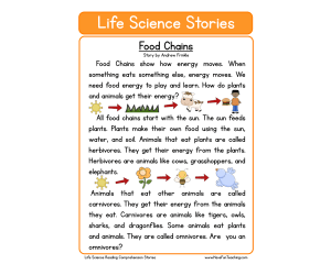 Food Chains Life Science Reading Comprehension Worksheet