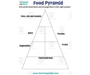 Food Pyramid Activity