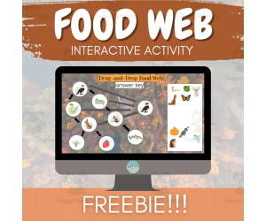 Food Web Digital Game | FREE | Energy Flow and Food Chain Activity