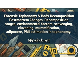 Forensic Taphonomy & Body Decomposition Postmortem Changes