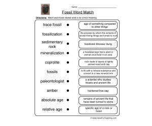 Fossil Definitions Worksheet