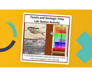Fossils and Geologic Time – Lab Station Activity