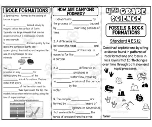Fossils + Rock Formations Trifold