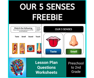 FREE: Our 5 Senses Lesson Plan & Conversation For Kindergarten & 1st