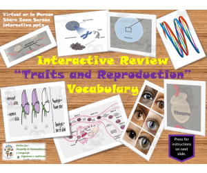 Free Science - Traits and Reproduction Interactive Vocabulary Activity