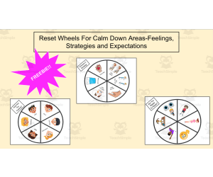 FREEBIE!! Visuals For Reset/Calm Down Areas