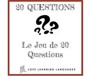 French 20 questions games - Small group or whole class no prep activities