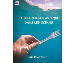 French: La pollution plastique des océans