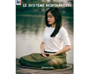 French: Le système respiratoire