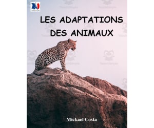French: Les adaptations des animaux