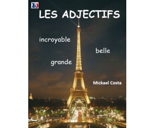 French: Les adjectifs