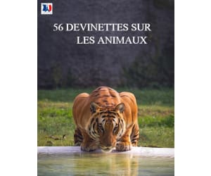 French: Les devinettes des animaux