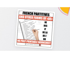 French Partitive Articles & More Ways to Use DE Worksheet Activity